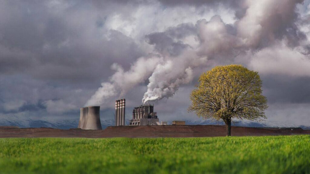 Diferencia de Carbono en Energías Renovables