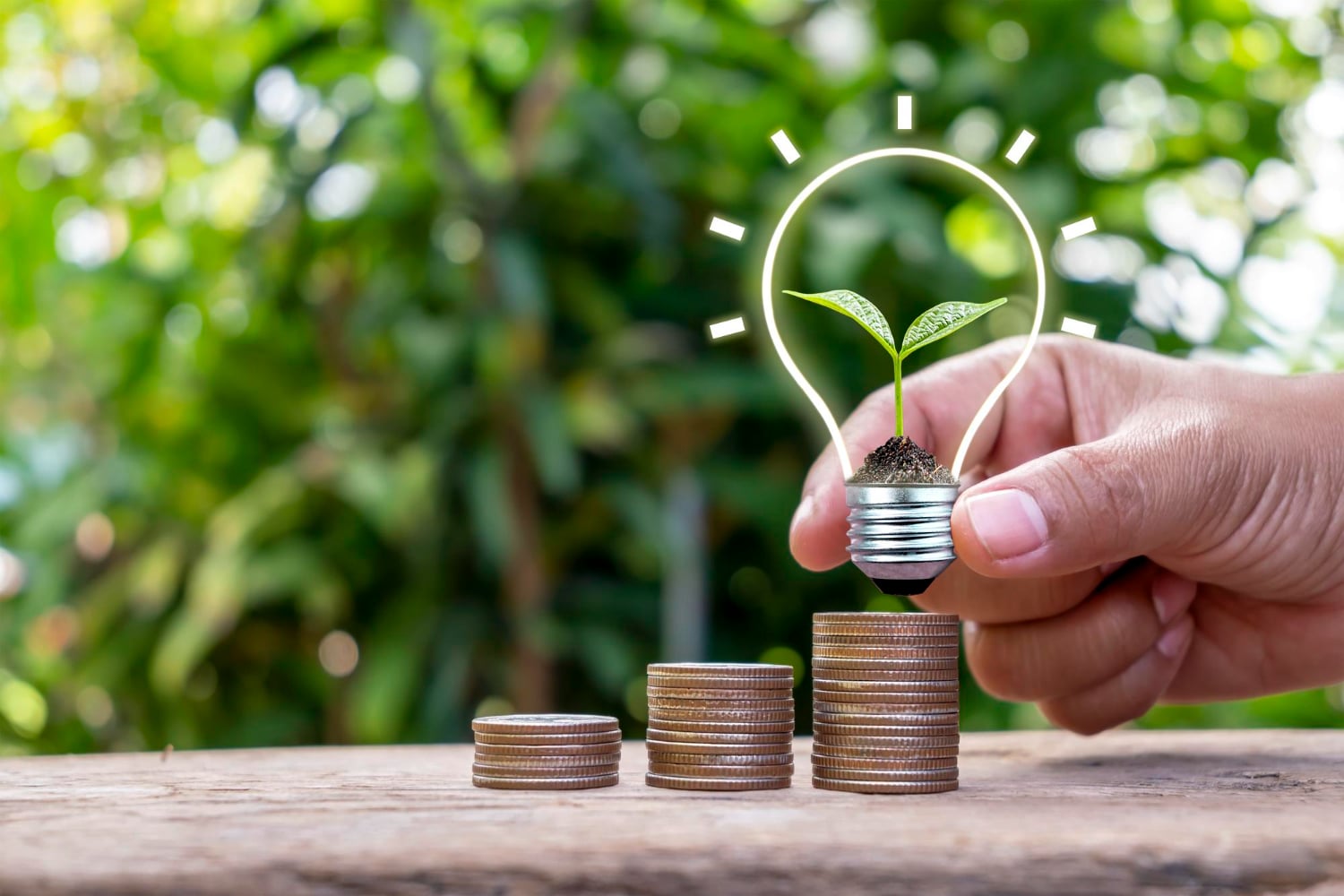 Financiamiento de Energías Renovables Worldwide Recruitment Energy